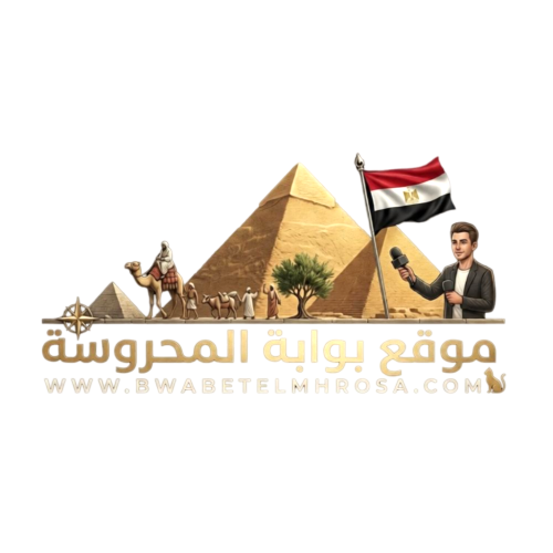 جمعية بوابة المحروسة لرعاية الأسرة وتنميه المجتمع
